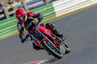 Lower Group Red Bikes